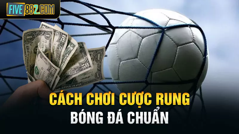 Cách chơi cược rung bóng đá chuẩn